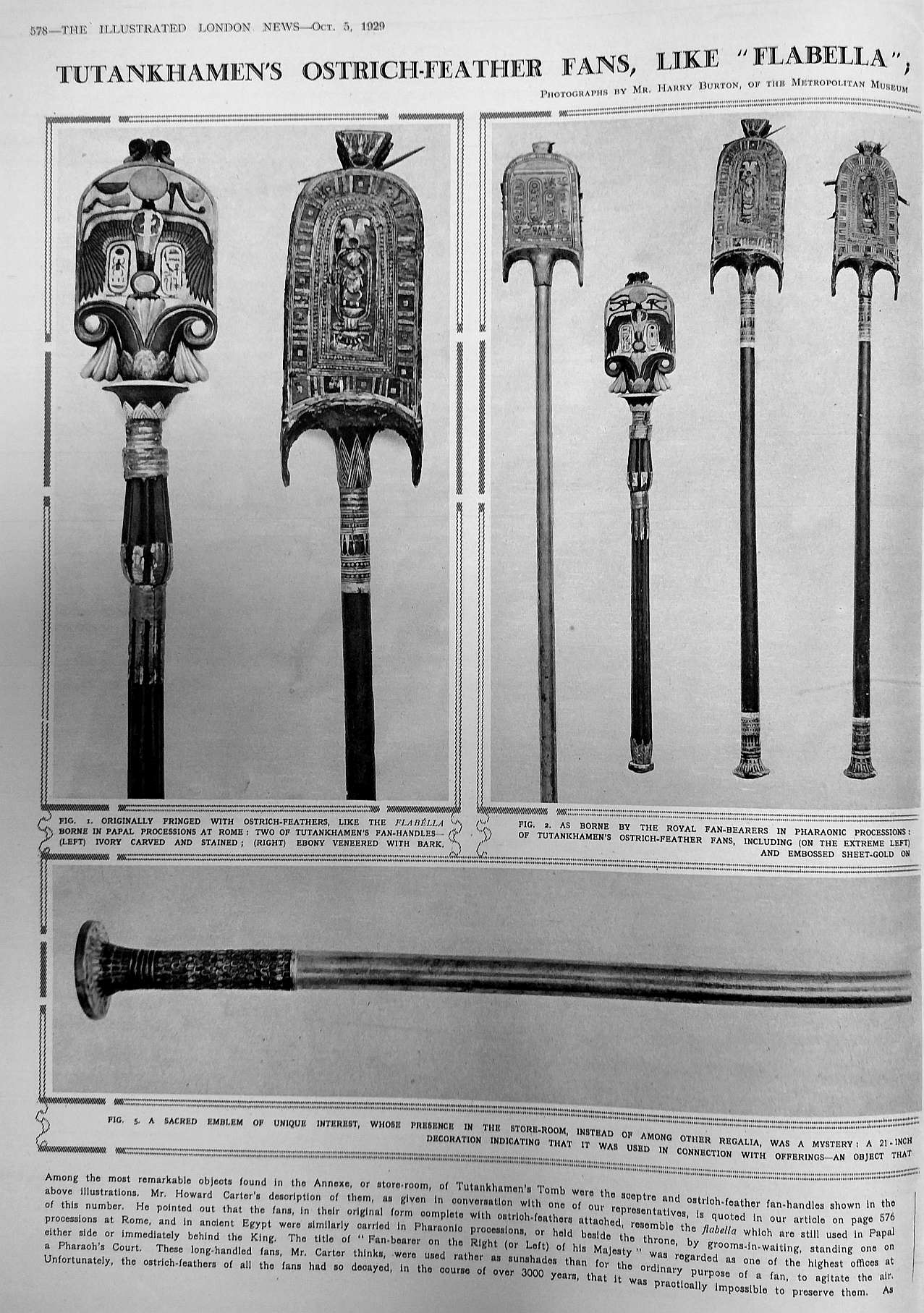 1929 tut ostrich fans